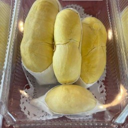 นกทุเรียนแกะเนื้อ