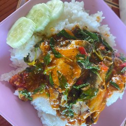 กระเพราในบ้าน