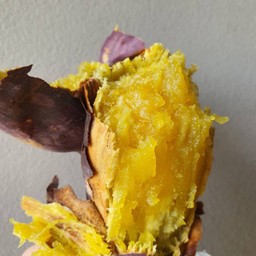 มันเหลืองญี่ปุ่นเผา + 1หัว