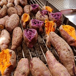 มันหวาน ญี่ปุ่น 3สี เผา 3หัว