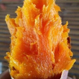 มันส้มญี่ปุ่นเผา 1 หัว