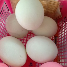 ไข่เค็ม