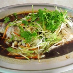 ปลากะพงนึ่งซีอิ๊ว