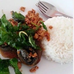 ข้าวกระเพราไข่เยี่ยวม้า