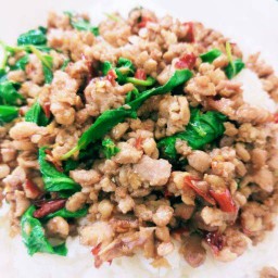กระเพราหมูสับกับข้าว