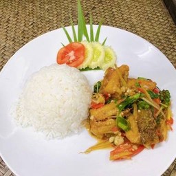 ปลากะพงผัดฉ่า (ราดข้าว)