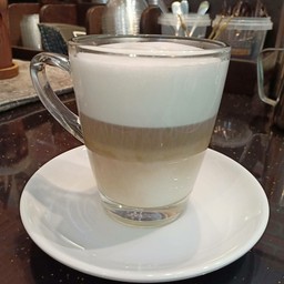 มัคคิอาโต้