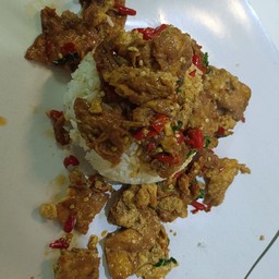 ข้าวราดกะเพราไข่เจียวหมูสับ