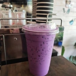 เผือกนมสด