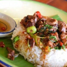 กระเพราเครื่องในไก่