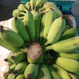 กล้วยน้ำว้า(สวน)