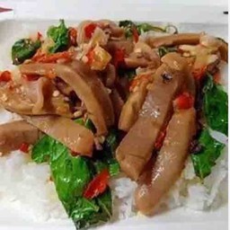 ข้าวราดผัดปลาหมึกกรอบ