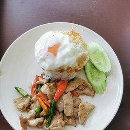 ข้าวราดหมูน้ำมันหอย(ไม่รวมไข่)