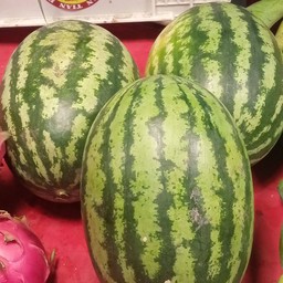 แตงโมซอนญ่า