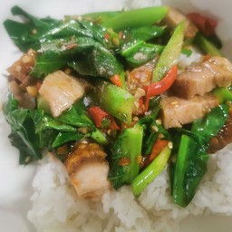 ข้าวราดผัดคะน้า