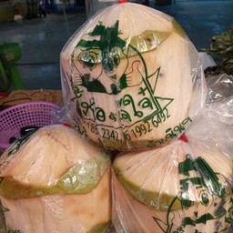 มะพร้าวน้ำหอม