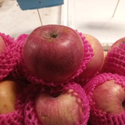 apple ฟูจิi (เนื้อกรอบ)