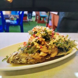 ปลากะพงปากเปิด