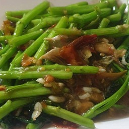 ผักบุ้งไฟแดง