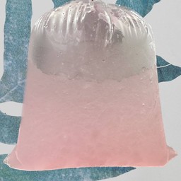 ลิ้นจี่