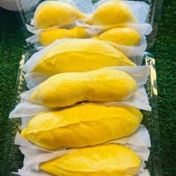 ทุเรียนเหมอนทองเกรดพรีเมี่ยม หมอนทองระยอง  หมอนทองภูเขาไฟ  หมอนทองป่าละอู หมอนทองถ้ำสิงห์ ลูกเกดราชาผลไม้ ตรงข้ามเซเว่นเอ็มสแควร์เทศบาล8