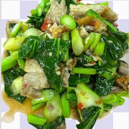 คะน้าผัดน้ำมันหอย