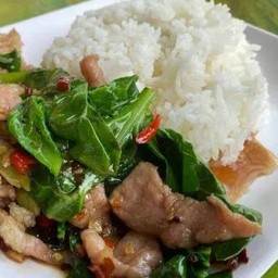 คะน้าเนื้อน้ำมันหอย