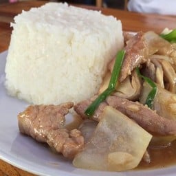 หมูผัดน้ำมันหอย