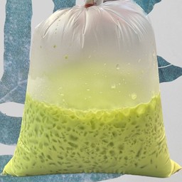 นมเขียว