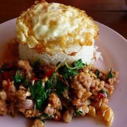 ข้าวกระเพราหมูไข่ดาว