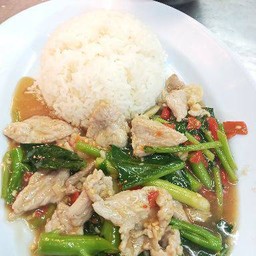 ผัดคะน้าหมู หมักนุ่ม