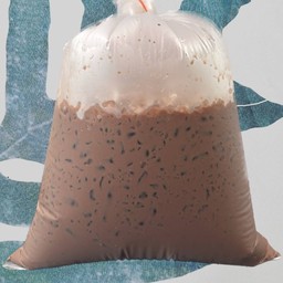 โอวัลติน