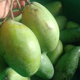 ป้าน้อยมะม่วงแซ่บ มะม่วงทุกชนิด