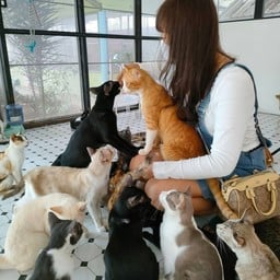 มูลนิธิบ้านสงเคราะห์สัตว์พิการ บางเลน