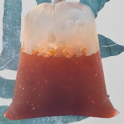 ชามะนาว