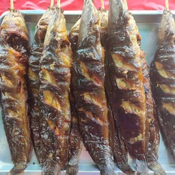 ปลาดุกย่าง