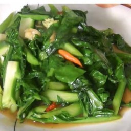 คะน้าน้ำมันหอย