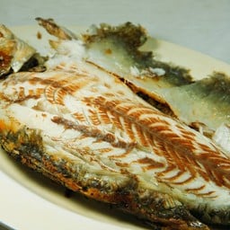 ปลากระพงเผา