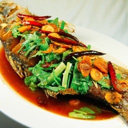 ปลากระพงทอดสามรส