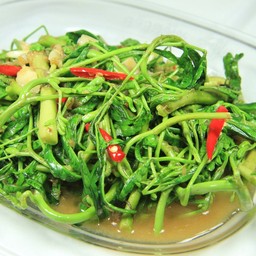 ผักกะเฉดไฟแดง