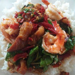 ข้าวราด กุ้งปนหมูกรอบ