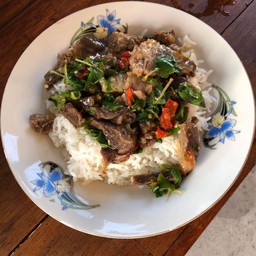 ข้าวกระเพราเนื้อเปื่อย