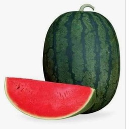 แตงโมซอนญ่า ( ยกลูก )