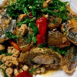 กระเพราหมูสับ ไข่เยี่ยวม้า (กับข้าว)