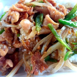 ผัดพริกอ่อนหมู