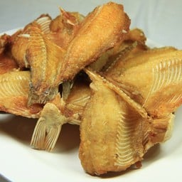 ปลาหมอแดดเดียว