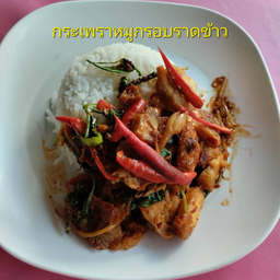 ข้าวกะเพราหมูกรอบ