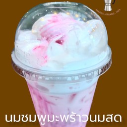 นมชมพูมะพร้าวนมสด