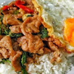 ข้าวกะเพราหมูหมัก+ไข่ดาว