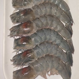 กุ้งสด